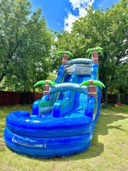 Palm Tree Waterslide