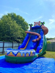 Leopard waterslide