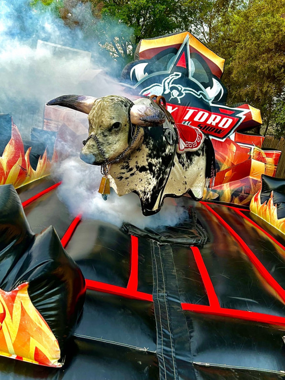 Mechanical bulls